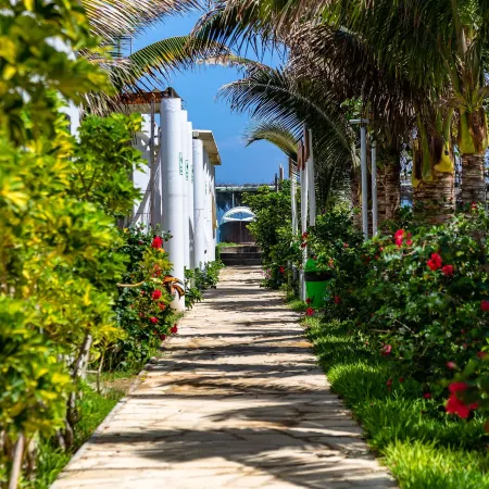 Suites del Mar