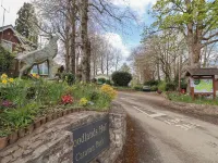 Woodlands Lodge Hotels in Gwyddelwern