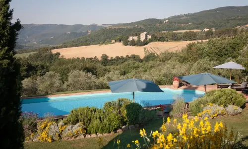 Tenuta Di Canonica