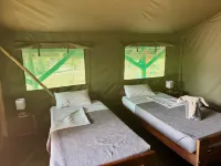 Bwana Tembo Safari Camp Hôtels à : 