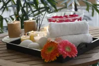 Treehouse Hotel Club & Spa - Spa
