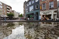 Holt Nijmegen