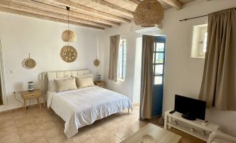 Nesa Paros