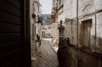 La dimora di SteSa by MONHOLIDAY