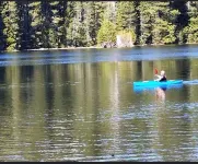 The Alta House/Sierra Woods