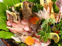 夕陽と漁火の宿 魚屋別館(活魚料理·割烹旅館) - 4つ星