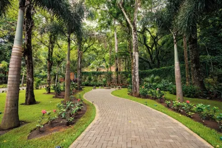 Seven Ranch Jungle Villa