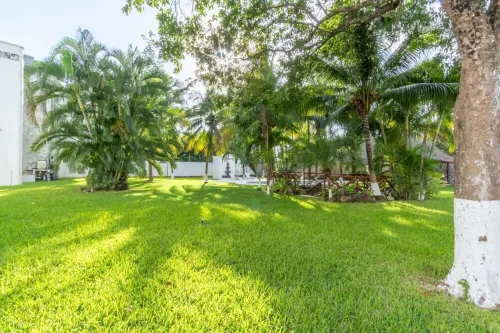 Spacious 5-bedroom house in beautiful Cancún with private pool, cenote, WiFi, AC