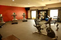 Hampton Inn & Suites by Hilton Carlsbad 칼즈배드 호텔