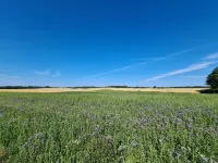 Ruhe, Natur & Strandnähe: Urlaub am Kap Arkona auf Rügen Hotels in Putgarten