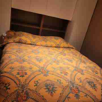 Botanical garden/ Brussels Rooms