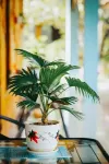 Blue Garden Homestay Hotels in Ninh Nhat