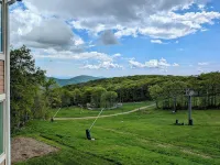 Wintergreen Mountain Views - Diamond in the Slopes - Close to Breweries & Hiking