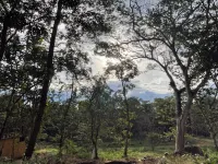 Peaceful, Meditative Casita in the Jungle,  Yet 7 Minutes to World Class Surf Hotels in Paraiso