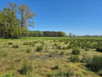 Vacation home in Lieper Winkel Rankwitz 호텔