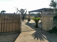 La Payara di Nonna Nina 4 P.letto a 3 km dal Mare Hotels in Tiggiano