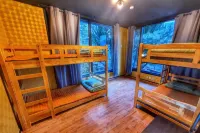 Hoony Guesthouse - Hostel فنادق في 