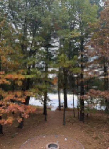 Lakeview, art and nature retreat, with AC and kayaks in Minocqua