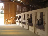 eco-gîte with SPA in the heart of nature, horse riding, Limousin