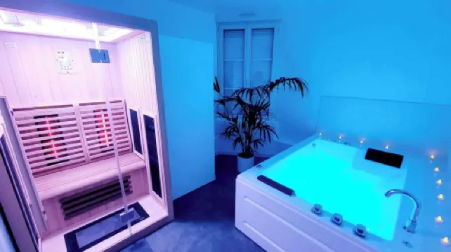 Aparthotel SPA: jacuzzi, sauna, terrace, balcony, hyper center, Place Drouet D'Erlon