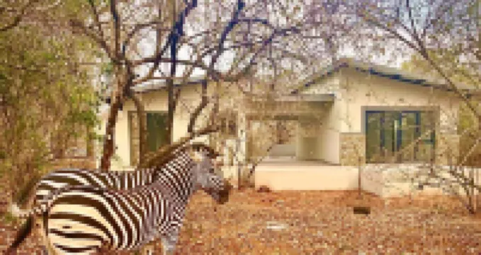 Bordering Kruger National Park awaits these luxurious and unique bedsits