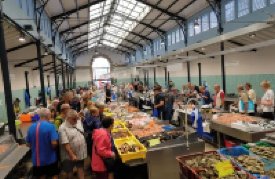 Charming studio with terrace in the heart of Vannes, 5 minutes from the port