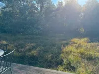 "Felia" - 500m from the Sea Hotels in Laeso