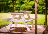 Charming 2-bedroom house with full access to Cotton Patch Landing Marina! Hotels in Beaufort County