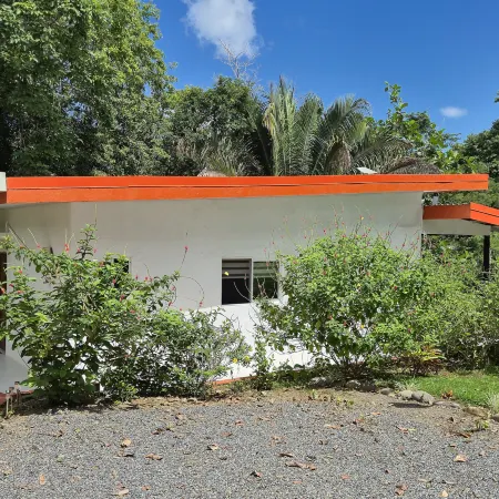 Villa Pura Vida - Mango
