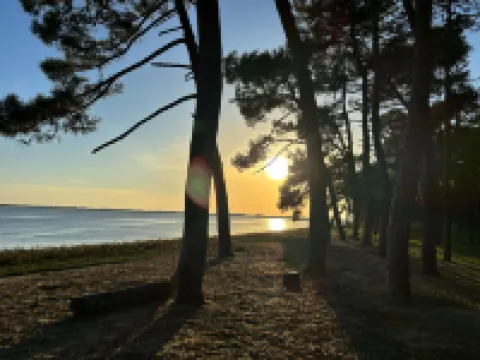 De L'anse À La Coubre
