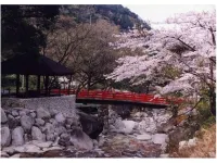 Green Hotel Hotels in Mie District