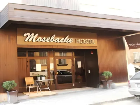 Mosebacke Hostel
