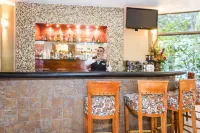 Holiday Inn MANAGUA - CONVENTION CENTER by IHG - bar