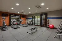 Hampton Inn & Suites Elyria - gimnasio