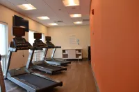 Holiday Inn Express & Suites GOODLETTSVILLE N - NASHVILLE by IHG - Gym