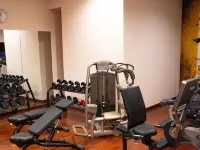 Downtown Ankara Hotel - palestra