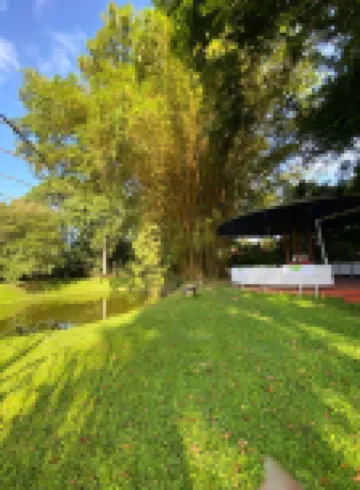 Hotel Colores del Arenal Hotels in 
