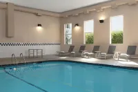 Spark by Hilton Ames - Family