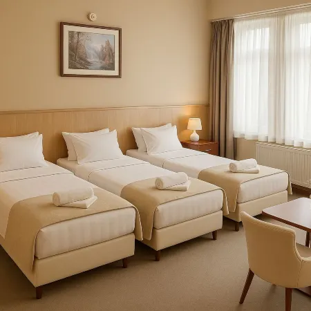 Plaza Hotel Gyula