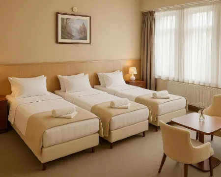 Plaza Hotel Gyula Hotels in Gyula
