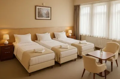 Plaza Hotel Gyula Hotels in 