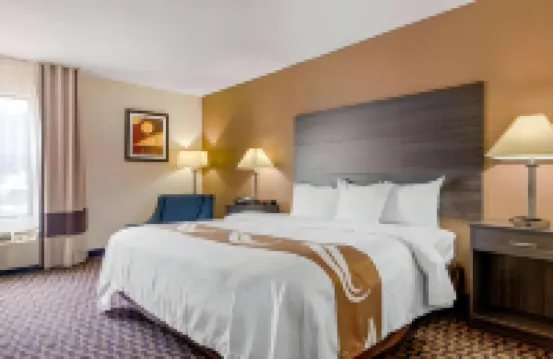 퀄리티 인 니어 하이 포인트 유니버시티