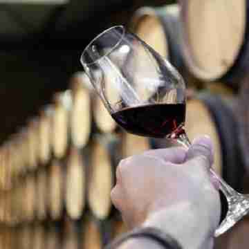 Camões Downtown with Parking Others