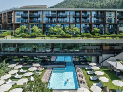 마이 아르보르 - 어덜츠 온리