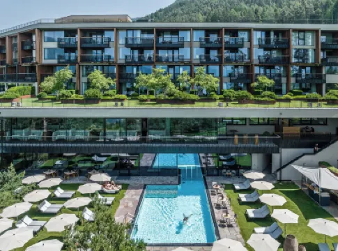 我的樹屋 - 限成人 酒店