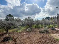 Root and Rise Hotels in Caltagirone
