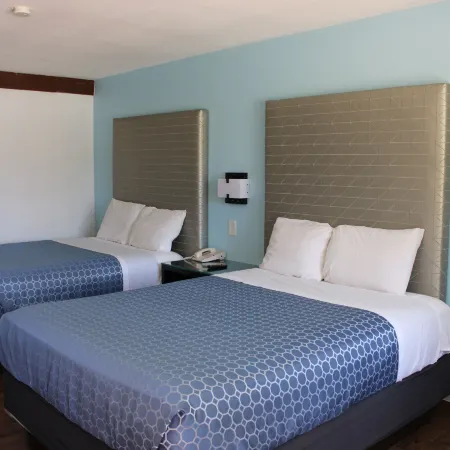 Torch Lite Lodge