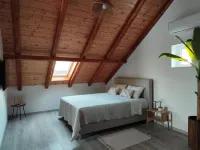 Apartment Penthouse Ivan - Homestays