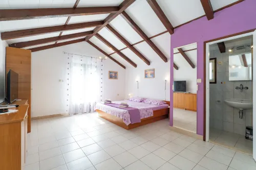 Studio Apartment Slivje - Homestays