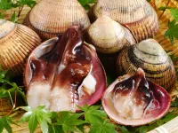 天橋立温泉 和のリゾート 文珠荘 - 朝食